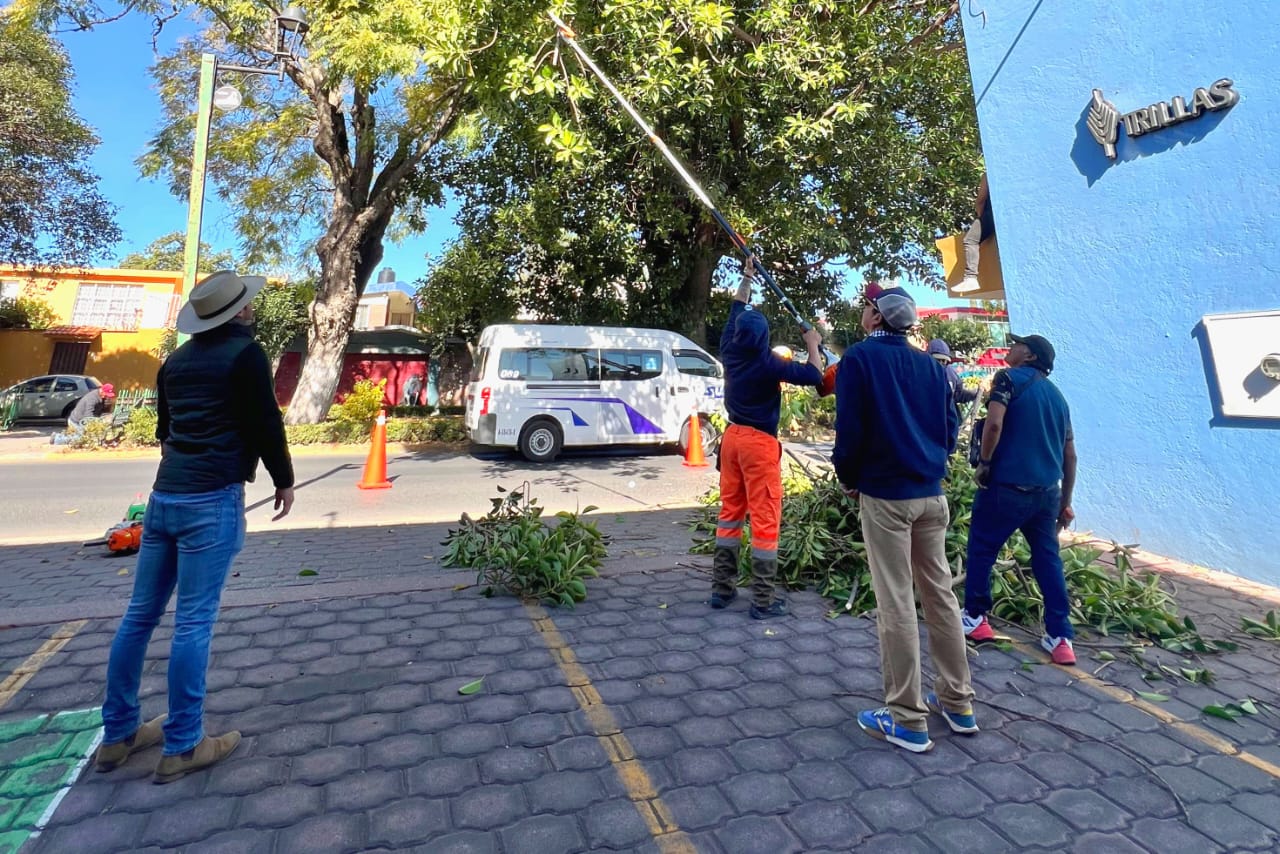 Mejora la seguridad Ayuntamiento de Tlaxcala en bulevar Mariano Sánchez con trabajos de mantenimiento